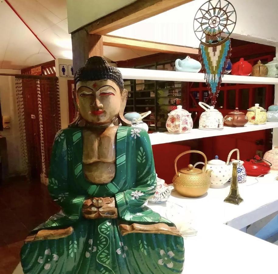 Budda Home Tortuguero Extérieur photo