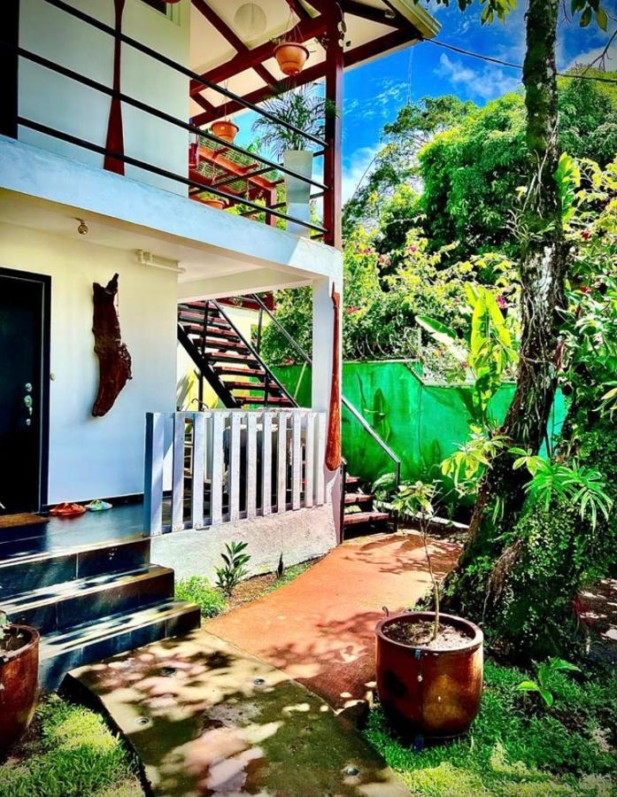 Budda Home Tortuguero Extérieur photo