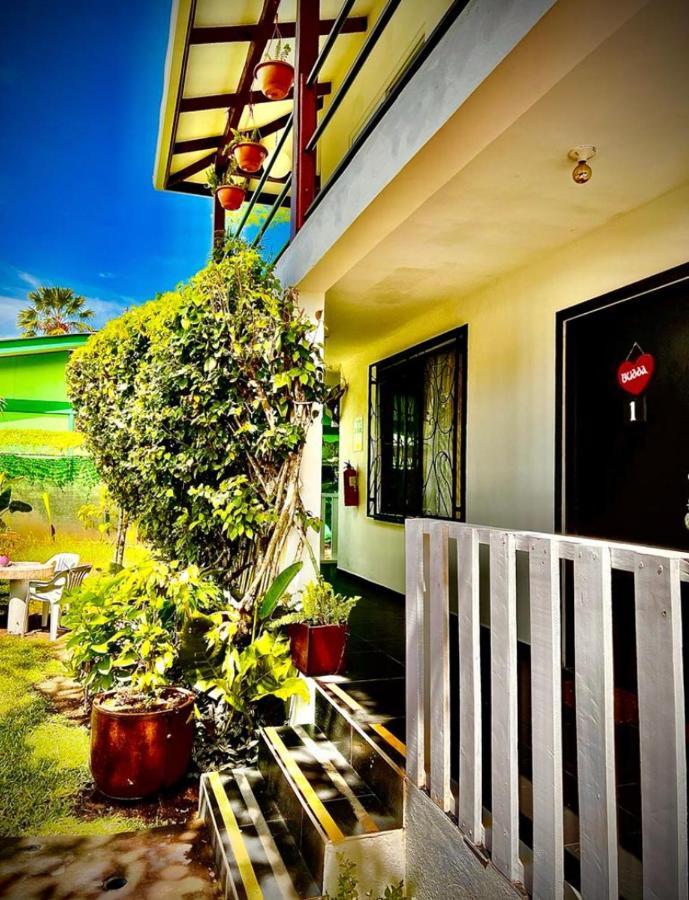 Budda Home Tortuguero Extérieur photo
